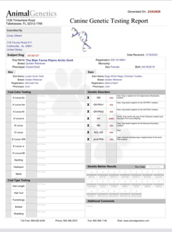 Piper Canine Genetic Testing Report