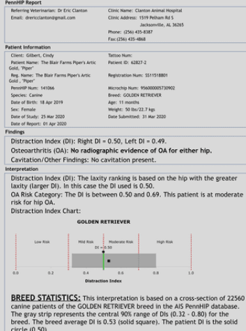 Piper PennHIP Report